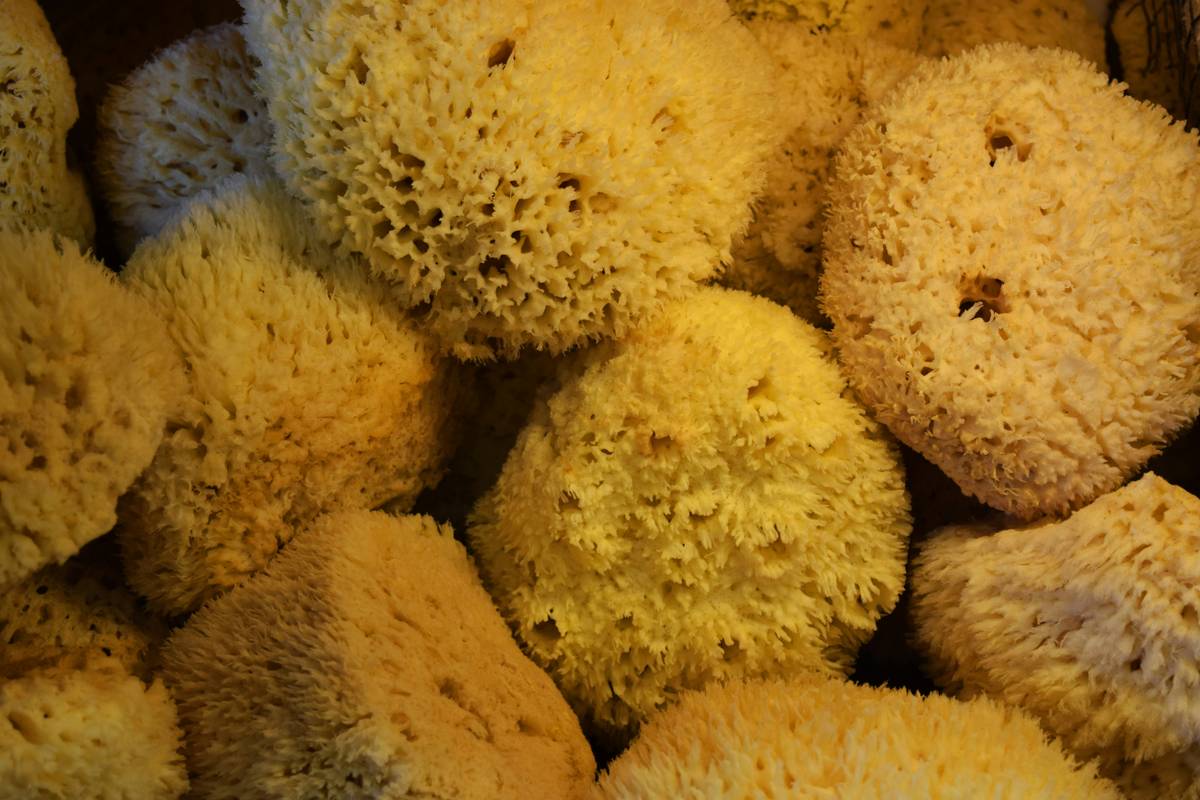 Is Your Eco Friendly Dish Soap Actually Doing More Harm Than Good?