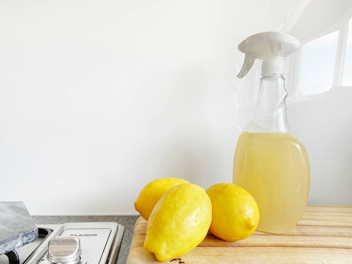 Comparison of biodegradable unscented liquid dish soap bottles on a kitchen counter