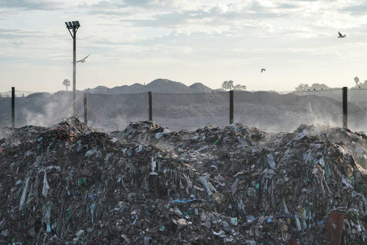 What Is Biodegradable Food? (And Why It Matters for Your Dish Soap Choices)